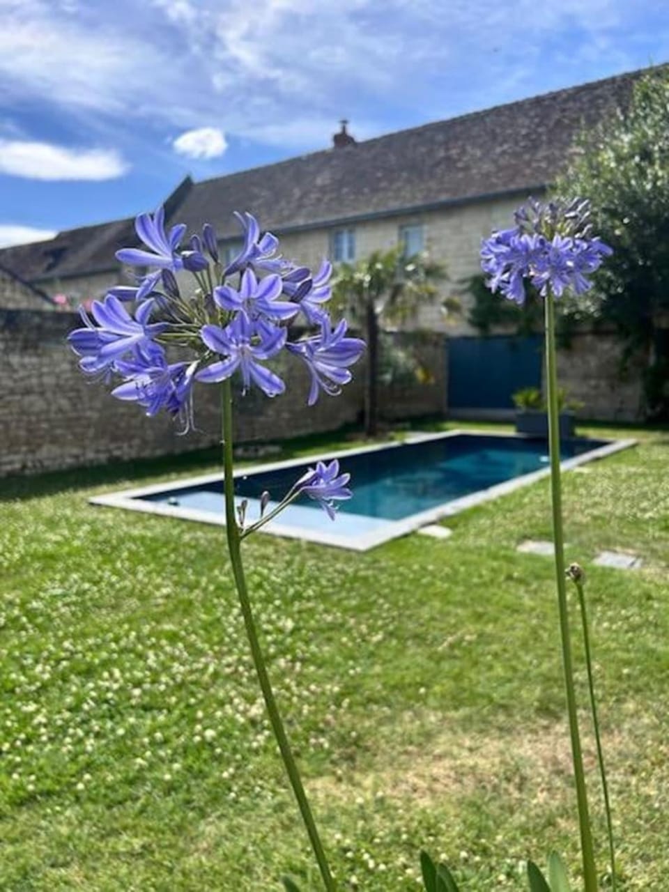 Garden, Garden view, Pool view, Swimming pool