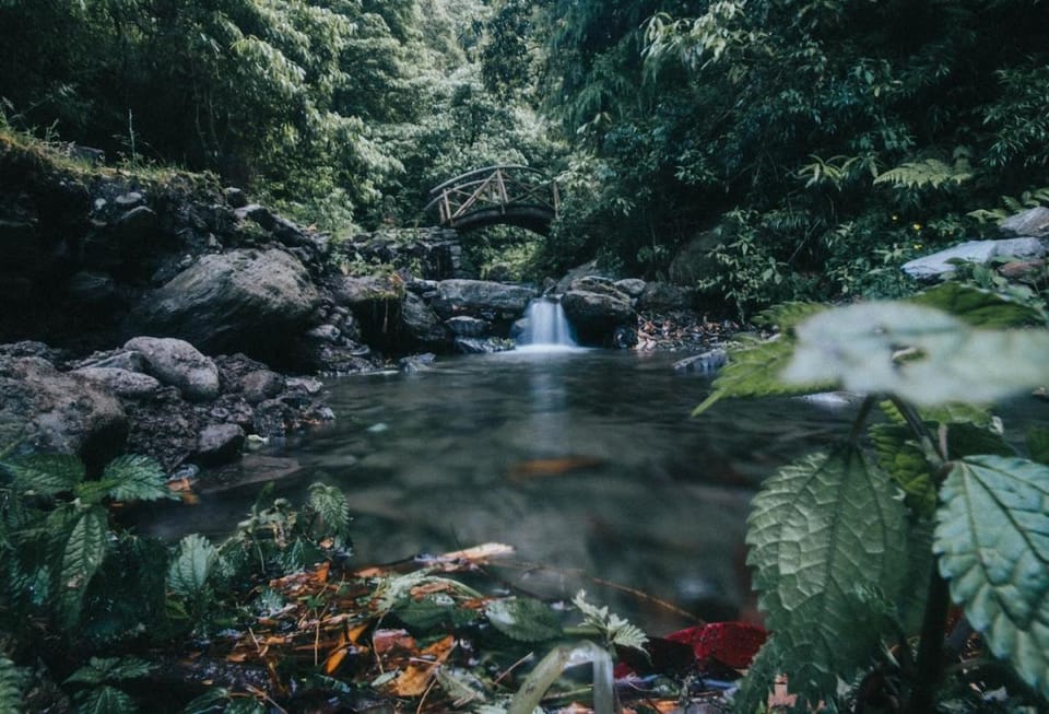River view