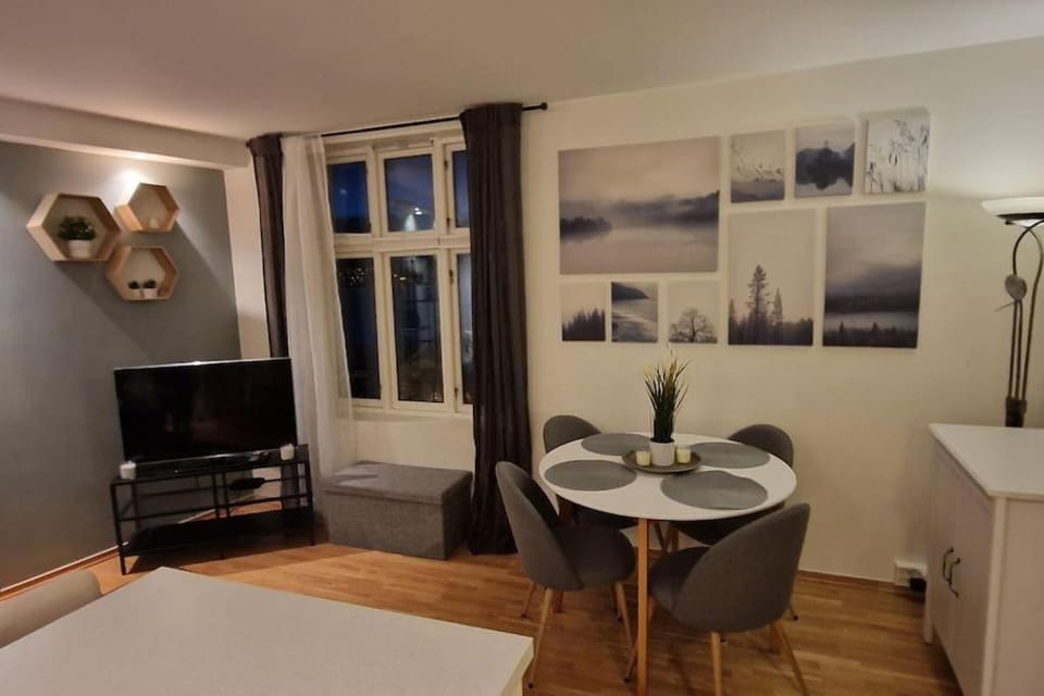 Central 1 bedroom apartment with a view Apartment in Bergen