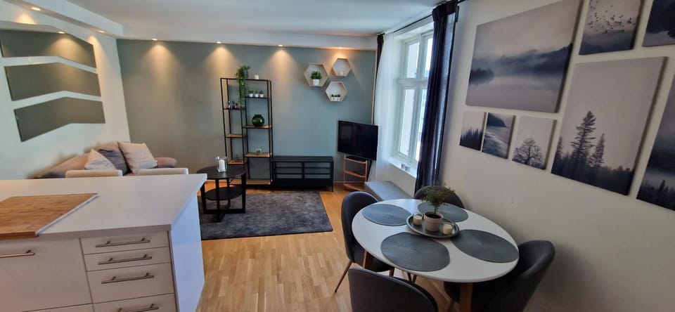 Central 1 bedroom apartment with a view Apartment in Bergen