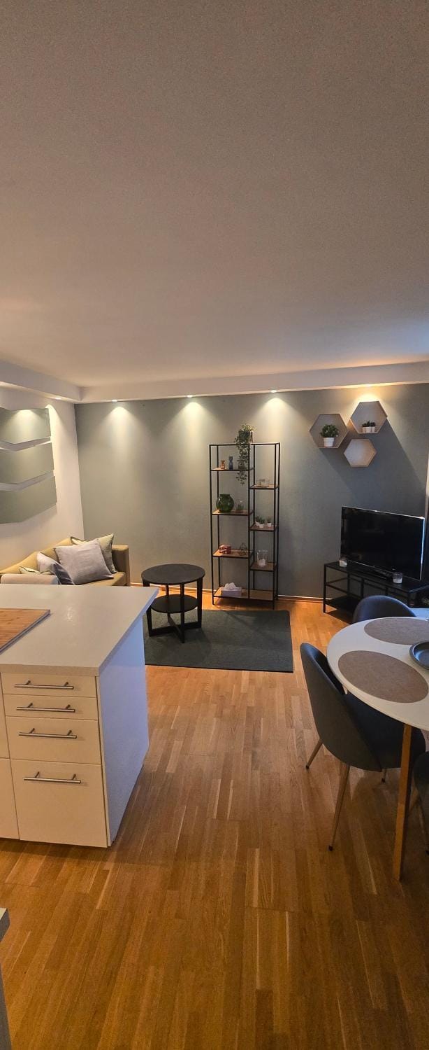 Central 1 bedroom apartment with a view Apartment in Bergen