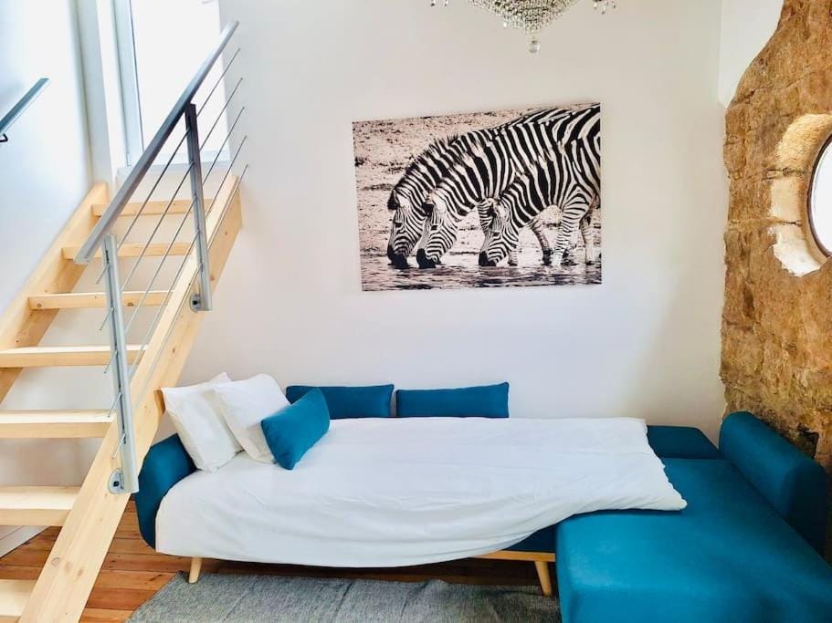 Charming 2BR w Terrace & Garden Apartment in Porto