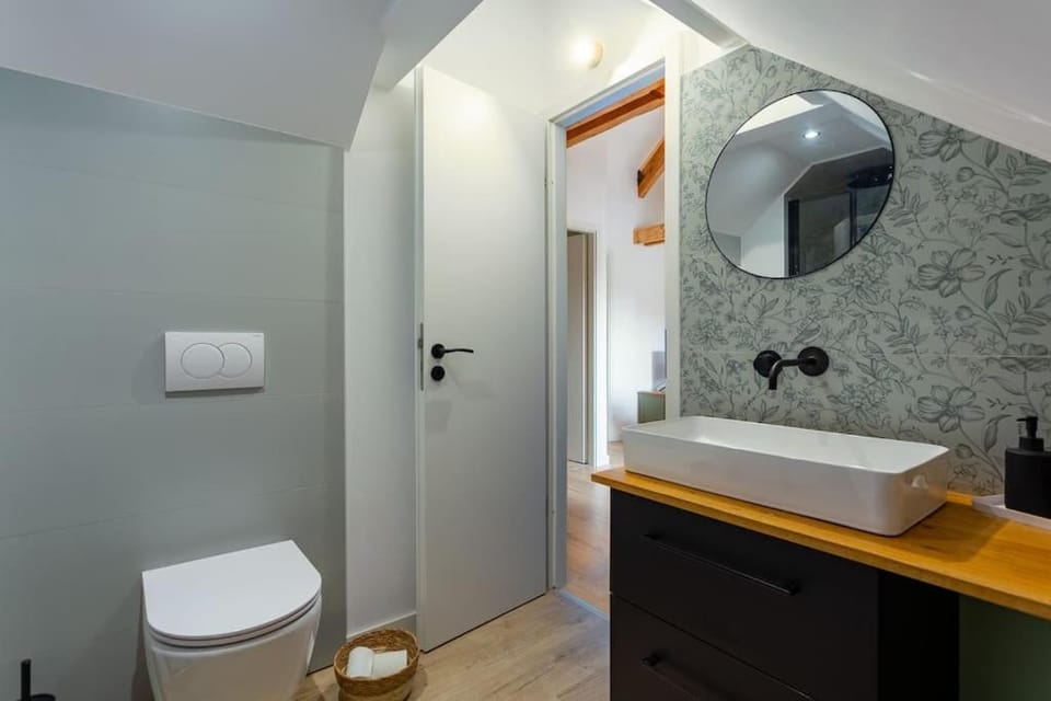 Le charme de l'ancien allié au contemporain Apartment in Strasbourg