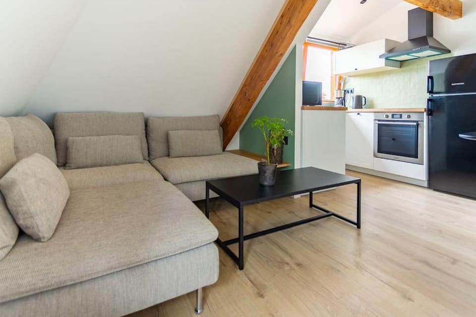Le charme de l'ancien allié au contemporain Apartment in Strasbourg