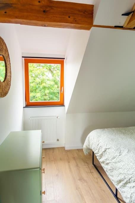 Le charme de l'ancien allié au contemporain Apartment in Strasbourg