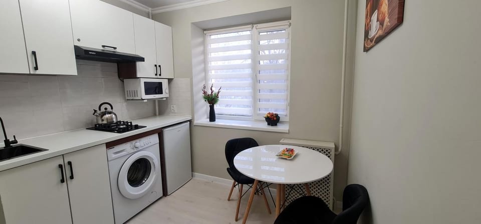 Kitchen or kitchenette, Dining area, stove, washing machine