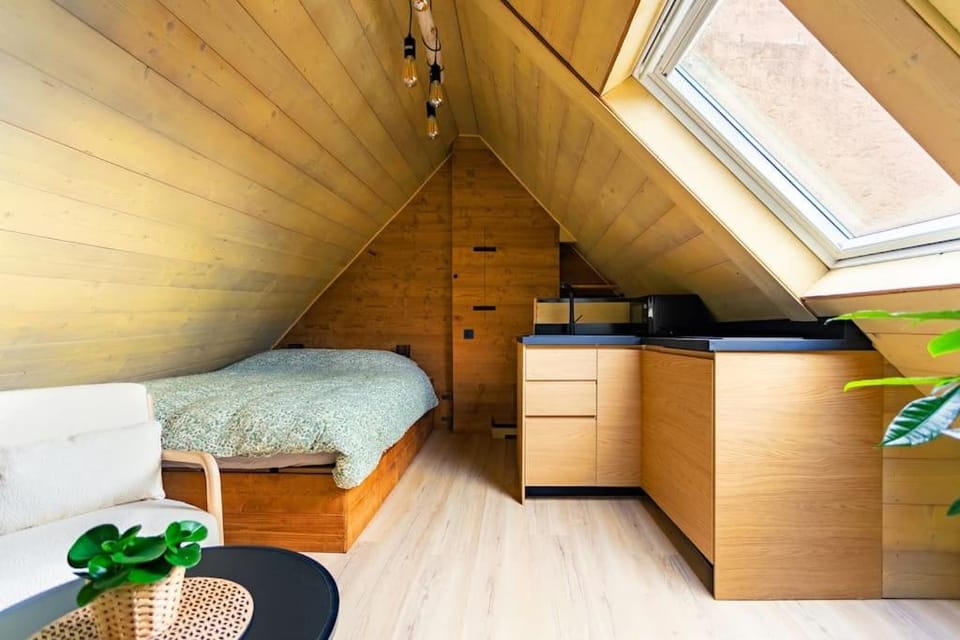 Le petit chalet du centre-ville Apartment in Strasbourg
