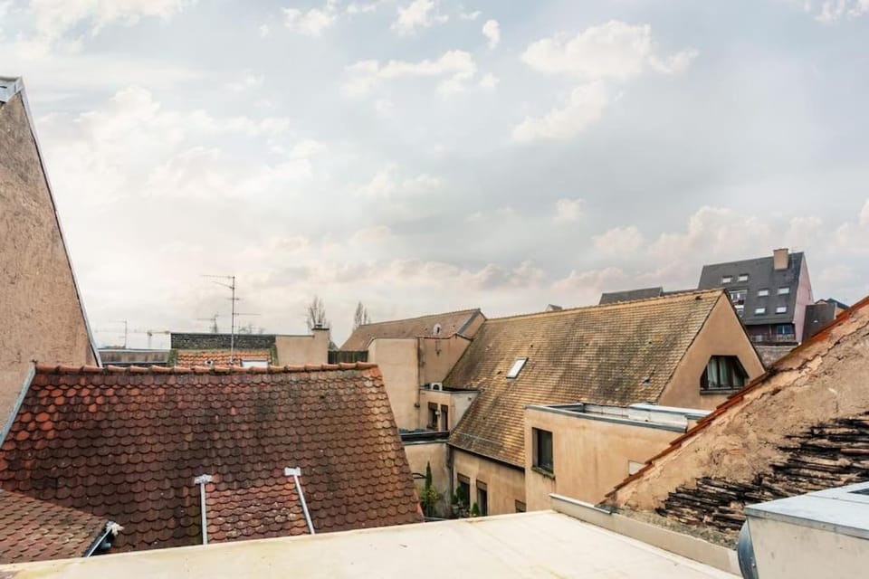 Le petit chalet du centre-ville Apartment in Strasbourg