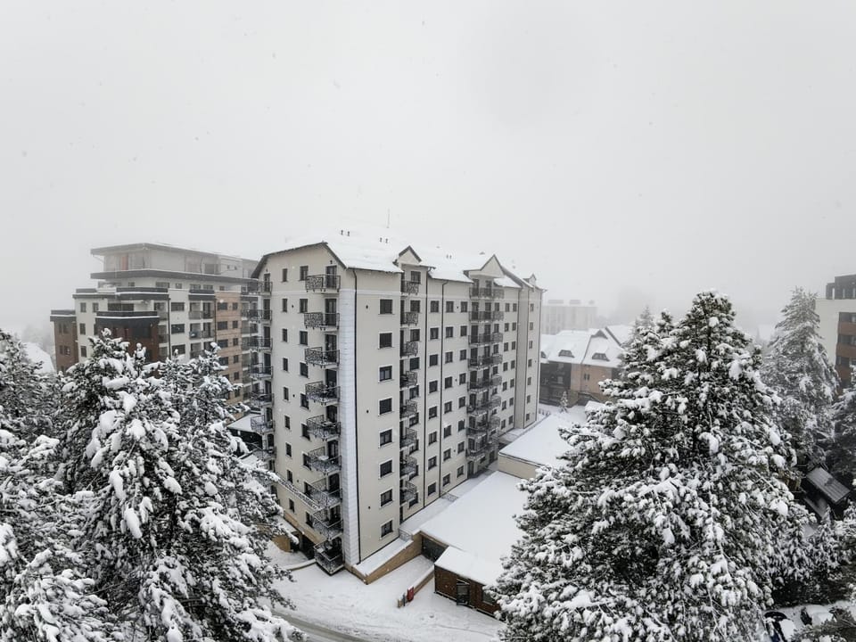 Golden Pine Lux Wellness and Spa Apartment in Zlatibor
