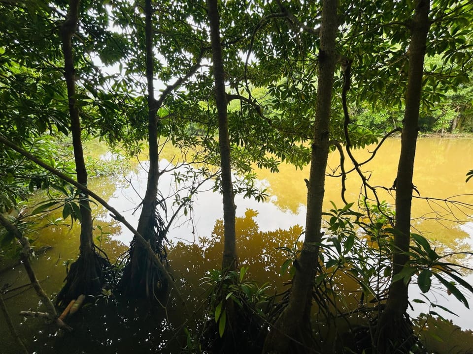 River view