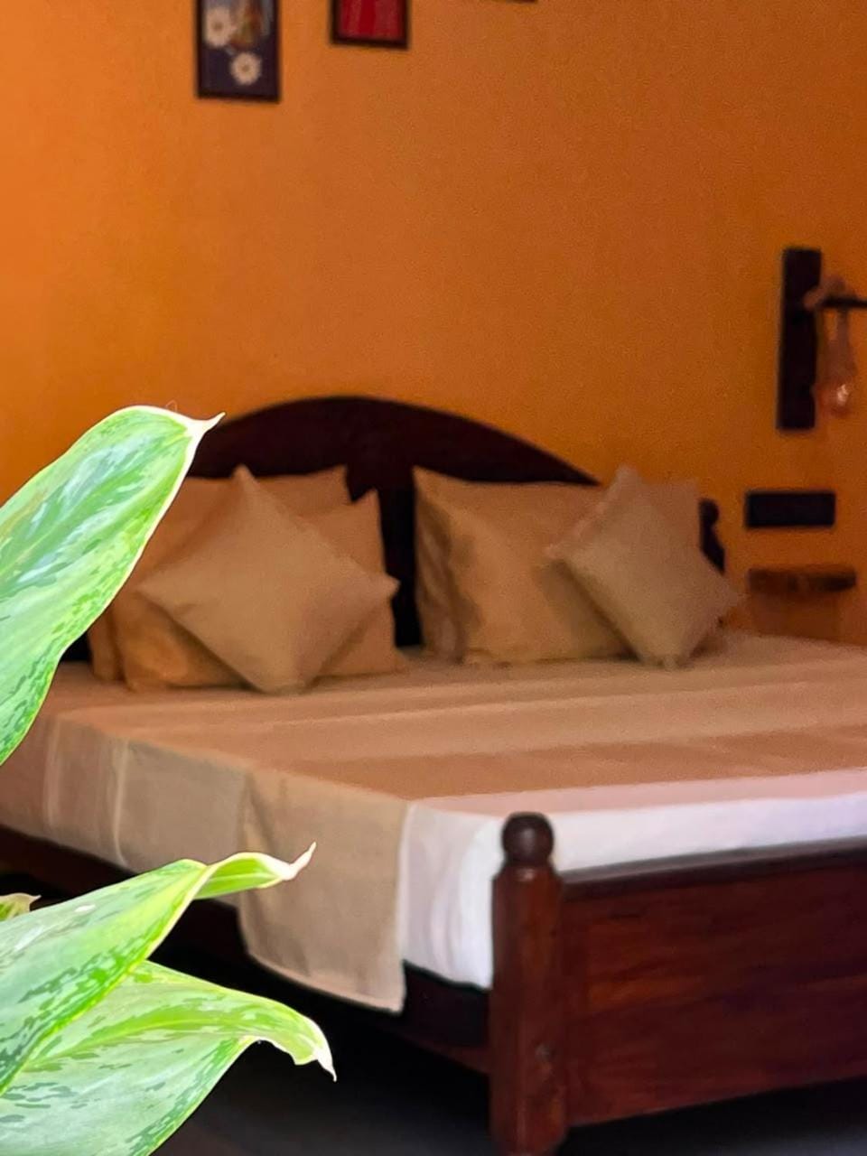 Rasa Homestay Bed and Breakfast in Southern Province