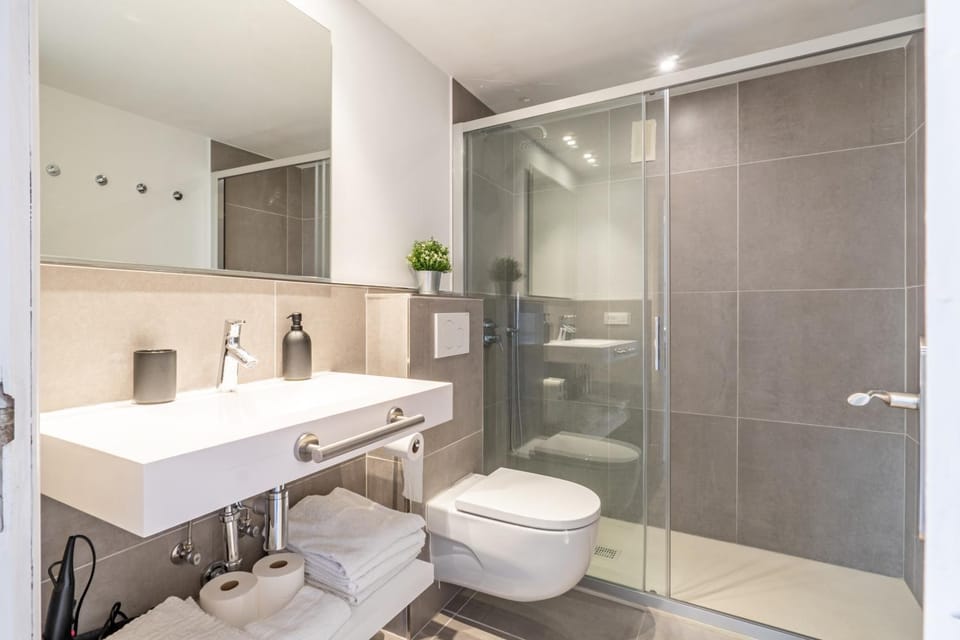 Shower, Toilet, bidet, towels