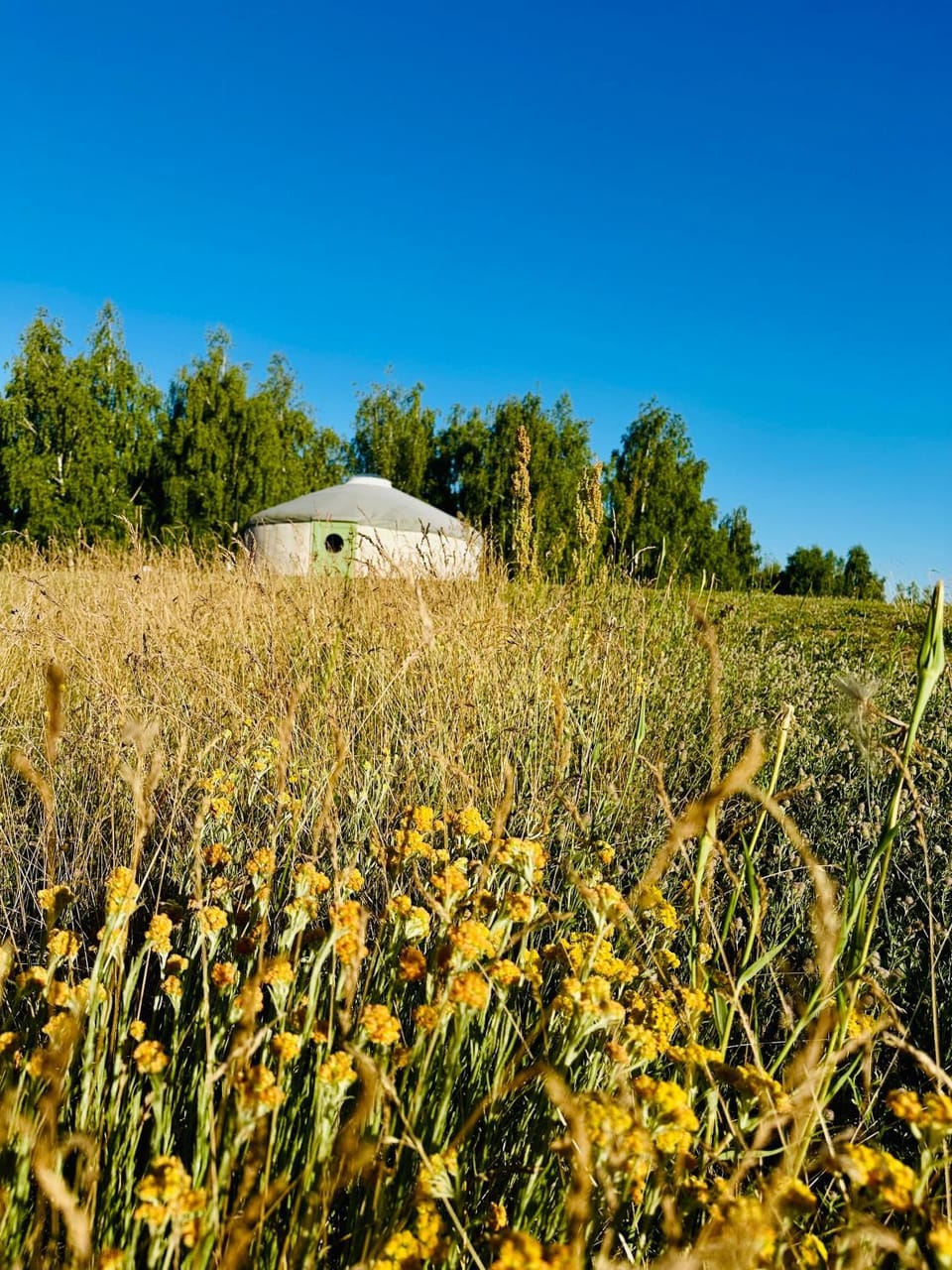Property building, Off site, Natural landscape, pet friendly