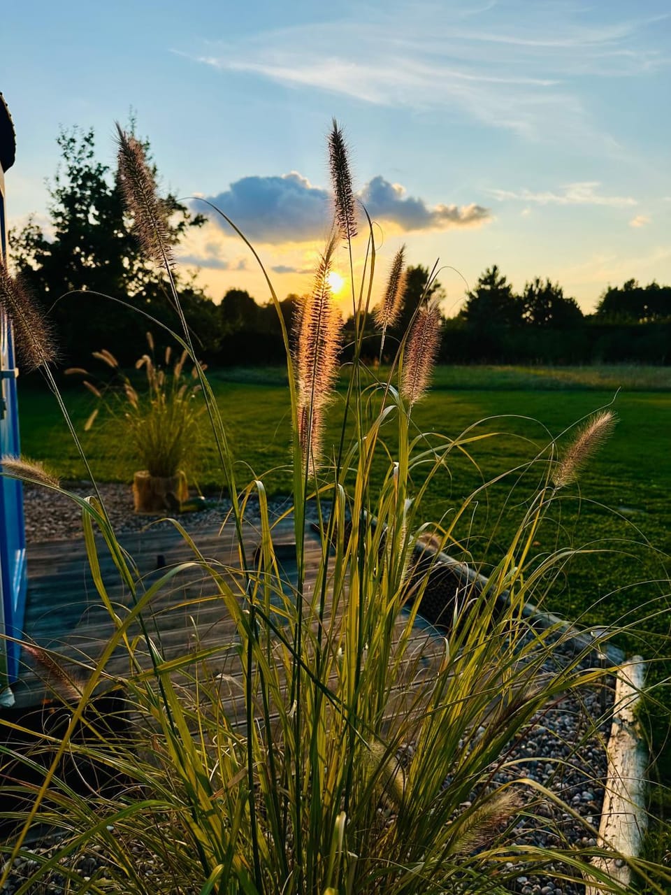 Natural landscape, Garden view