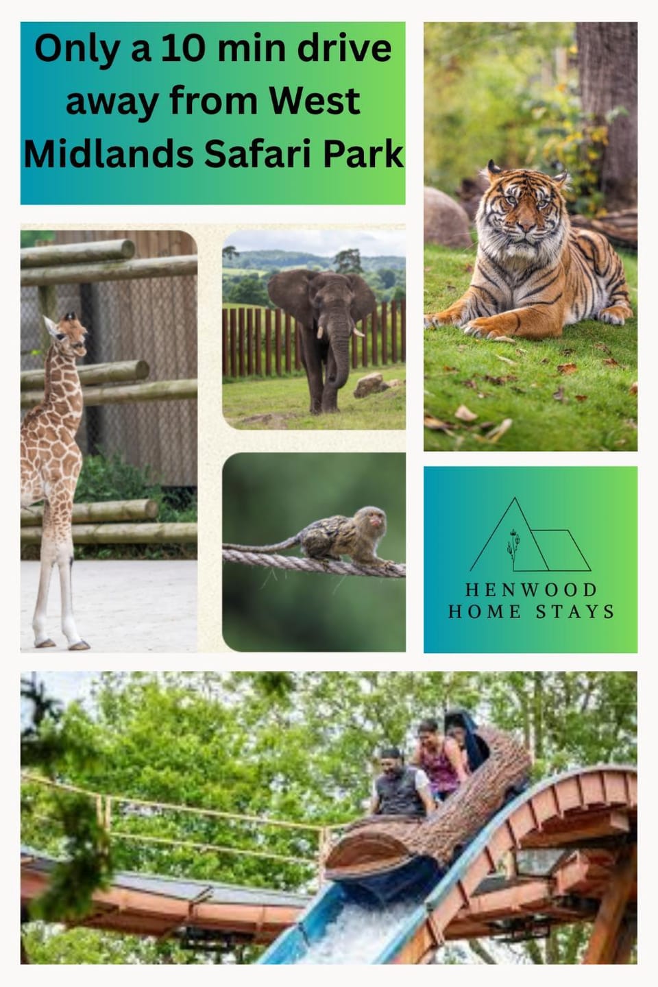 Area and facilities, Entertainment, Location