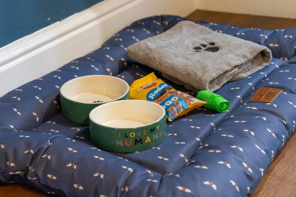 pet friendly, pet friendly, towels