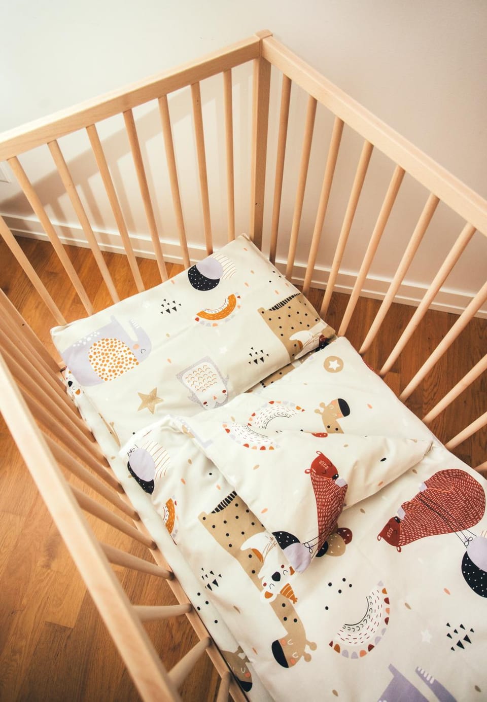 Little Swiss Apartment in Latvia