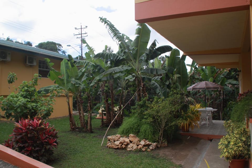 View (from property/room)