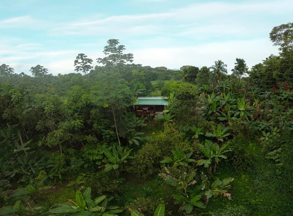 Edén Bungalow, A Paradise in La Fortuna! Apartment in Alajuela Province