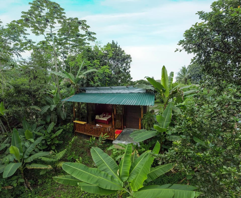 Edén Bungalow, A Paradise in La Fortuna! Apartment in Alajuela Province