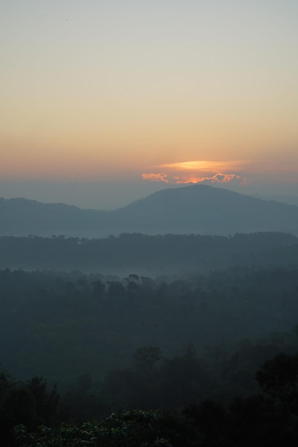 Serene valley koppa hilltop homestay Hostel in Karnataka
