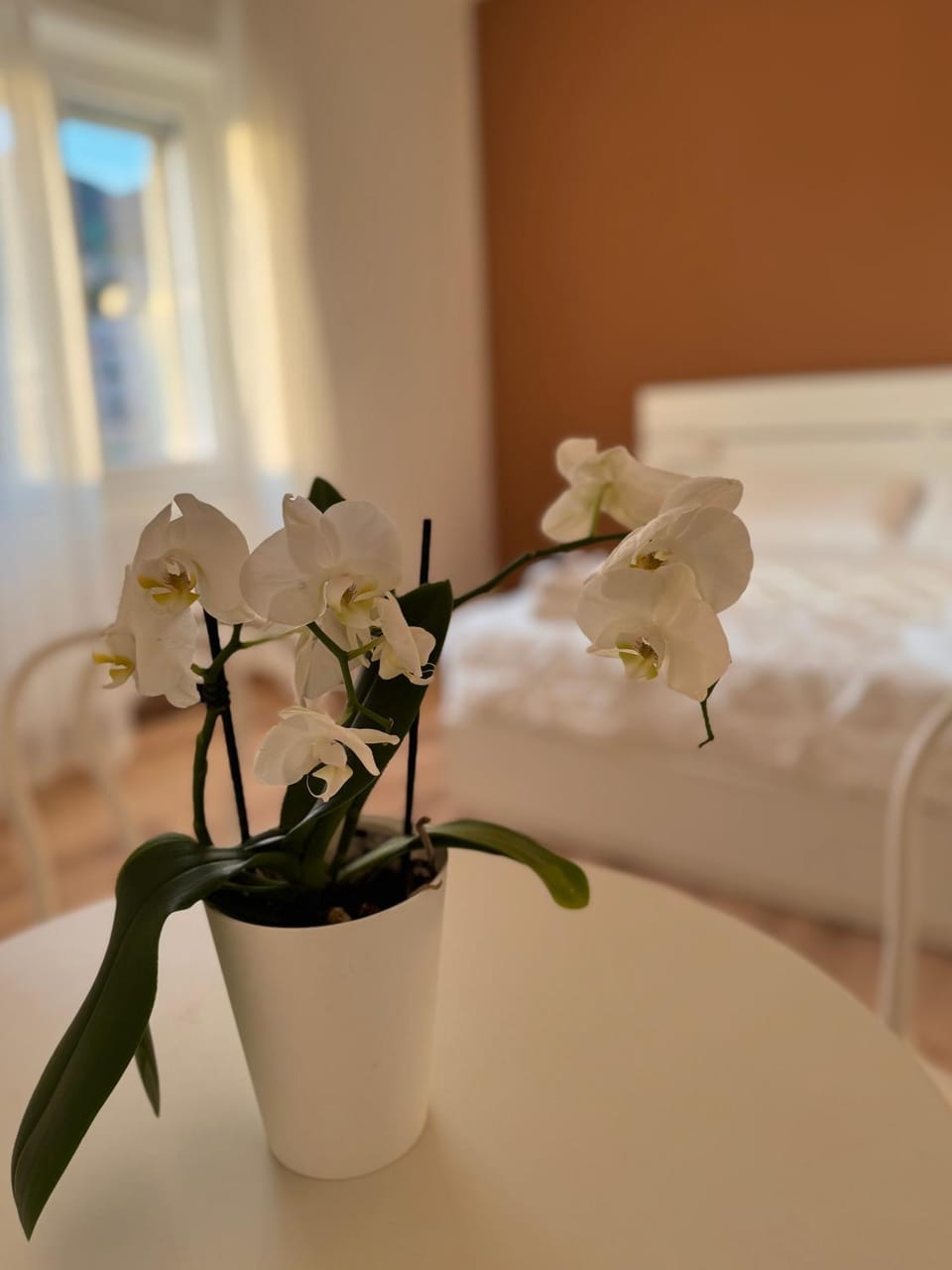Bed, Day, TV and multimedia, Photo of the whole room, Bedroom, City view, Mountain view, heating, wardrobe, air conditioner
