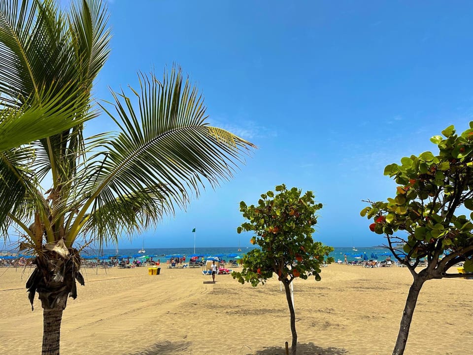 Nearby landmark, Restaurant/places to eat, People, Natural landscape, Activities, Beach, Area and facilities, group of guests, sunbed