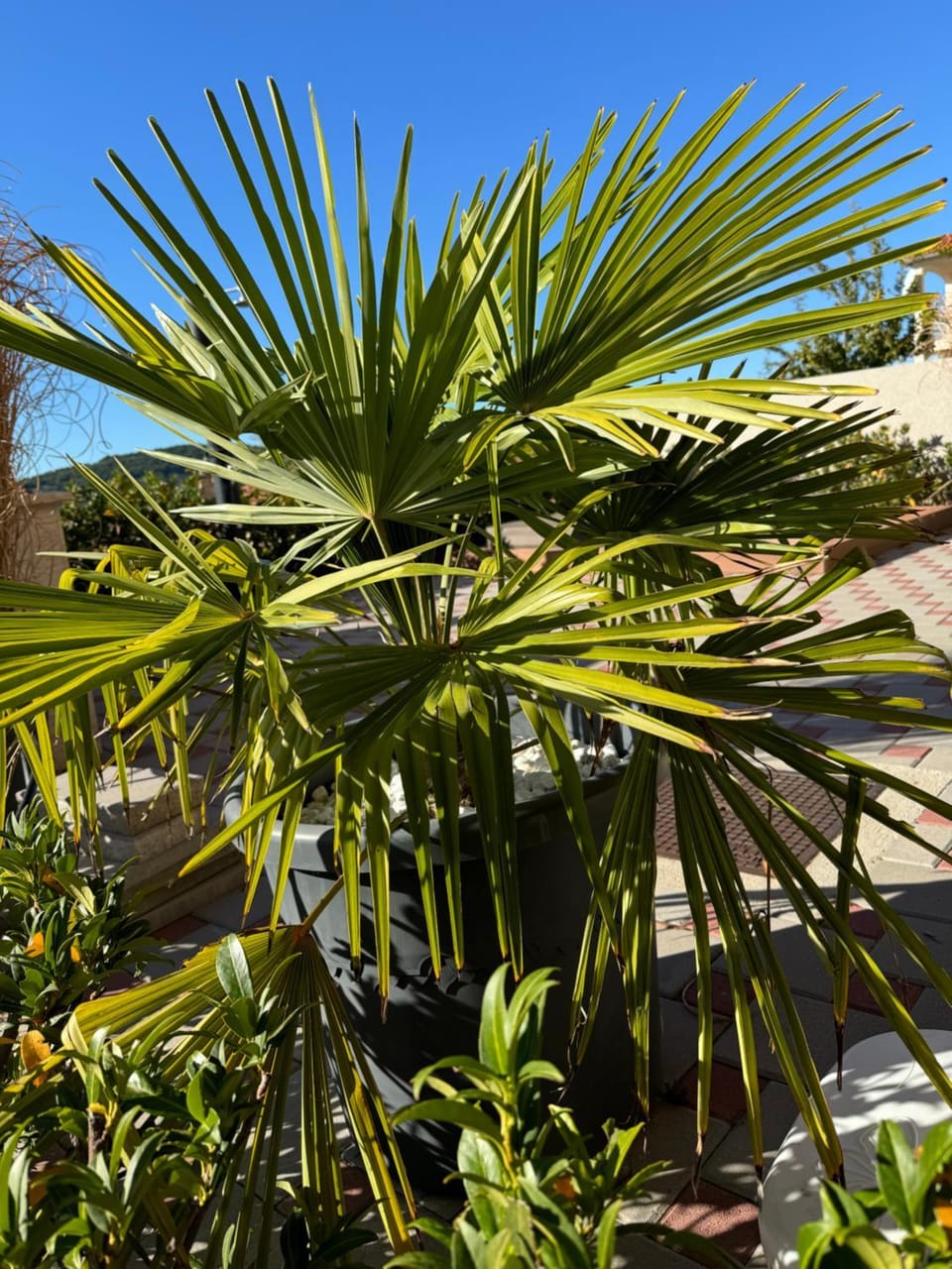 Garden, Garden view