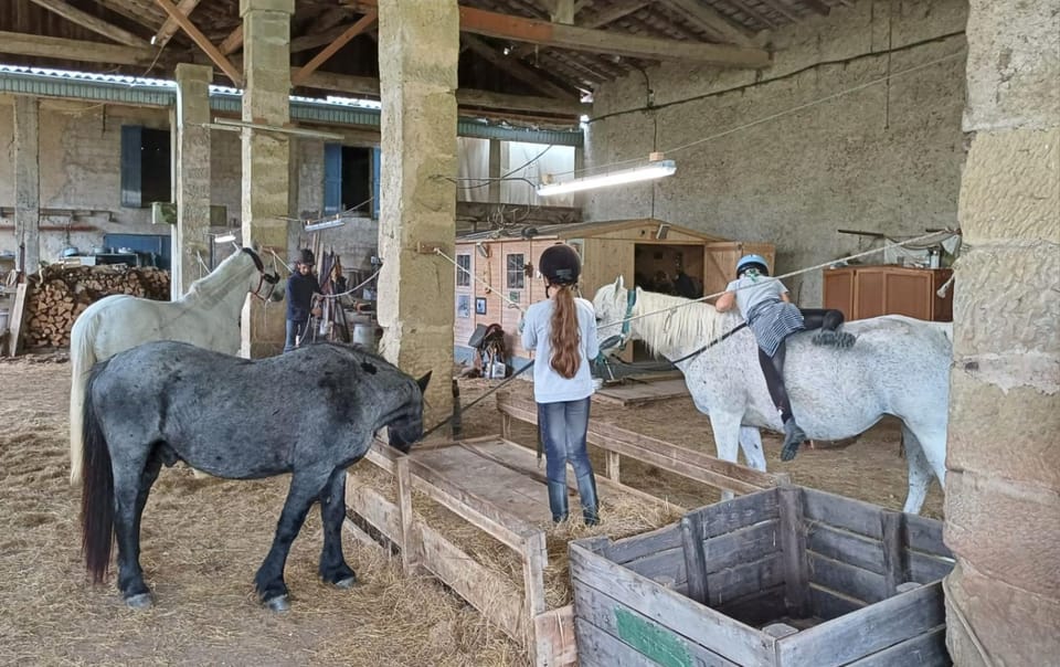 Mobilhome Ferme équestre La Mouillère House in Occitanie