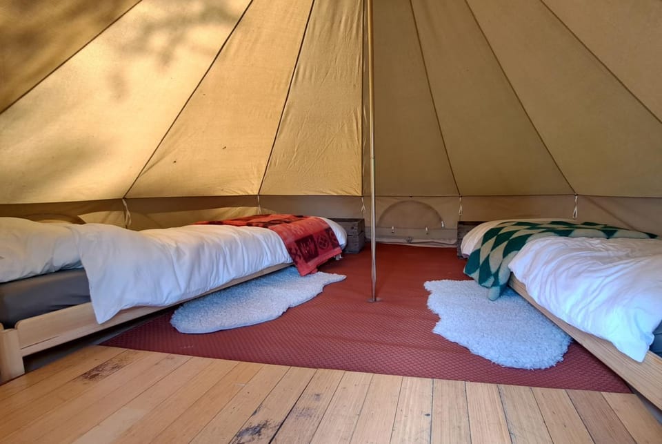 Bed, Photo of the whole room, Bedroom, group of guests