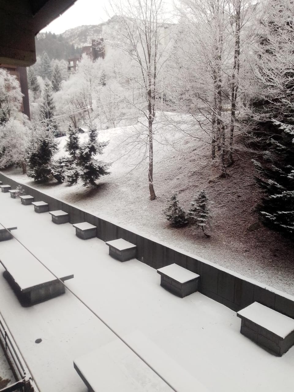 Artesina Apartment in Liguria