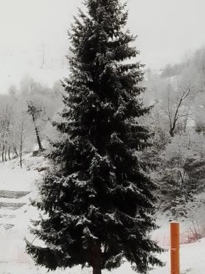 Artesina Apartment in Liguria