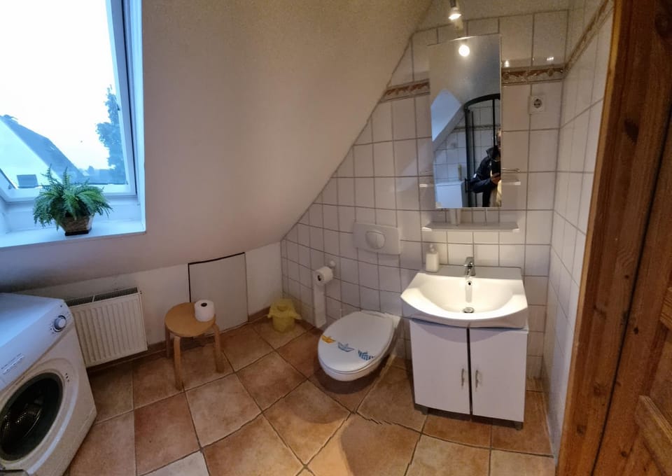 Toilet, Bathroom, washing machine