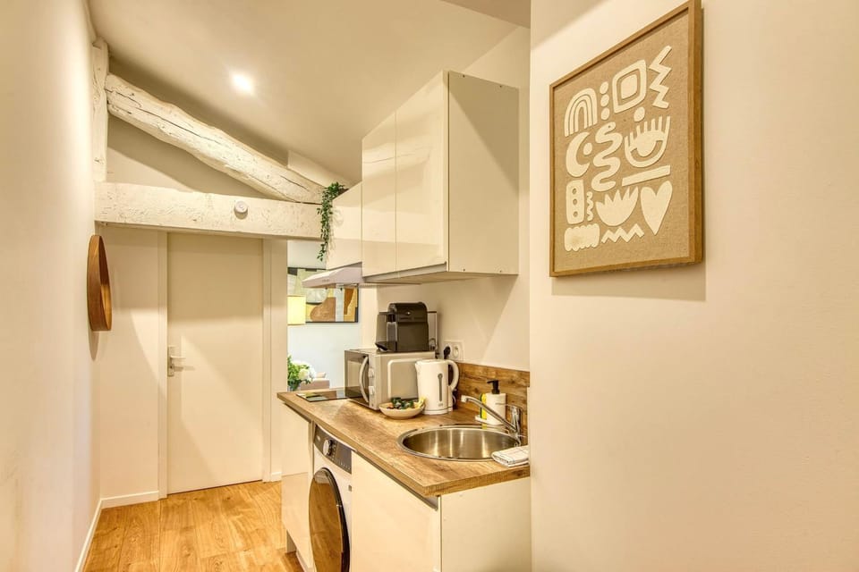 Le Cocon - Appart climatisé - cœur de Lyon 5ème Apartment in Lyon