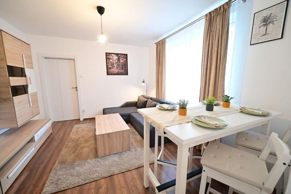 FLH - The Great Novel Apartment in Sibiu