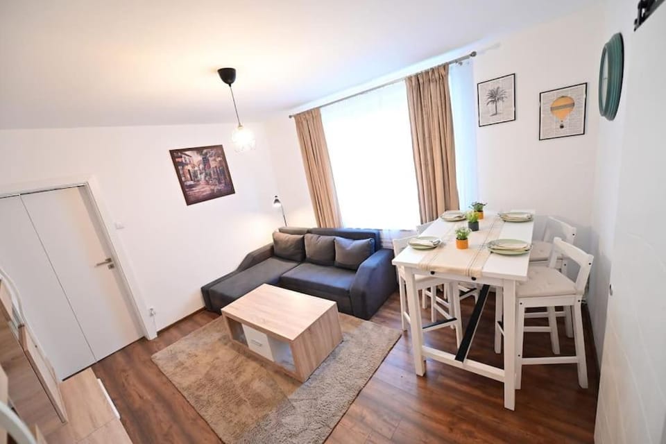 FLH - The Great Novel Apartment in Sibiu