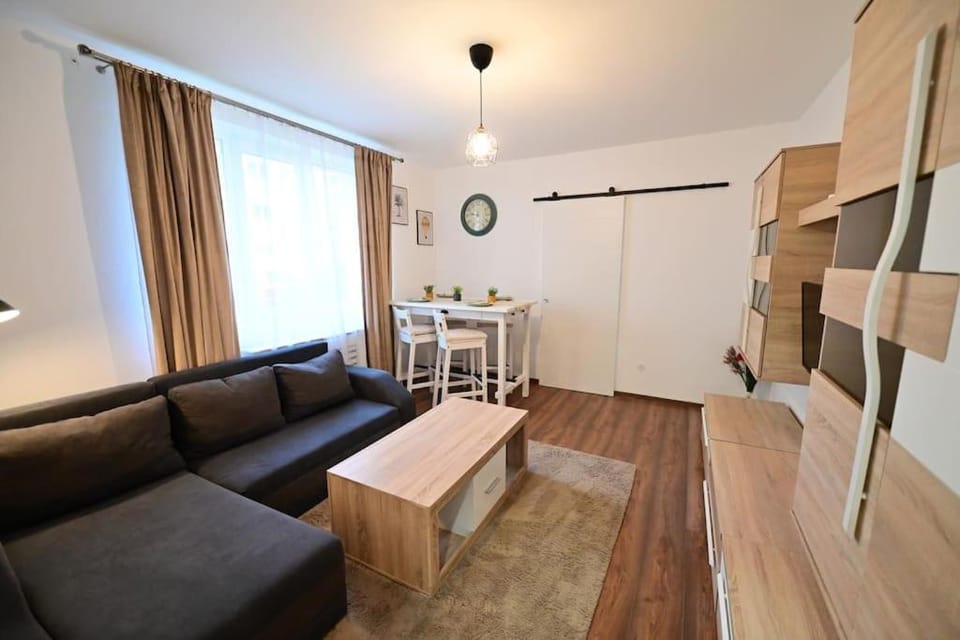 FLH - The Great Novel Apartment in Sibiu