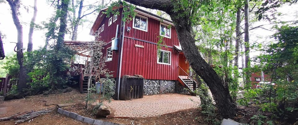 Property building, Garden, Garden view