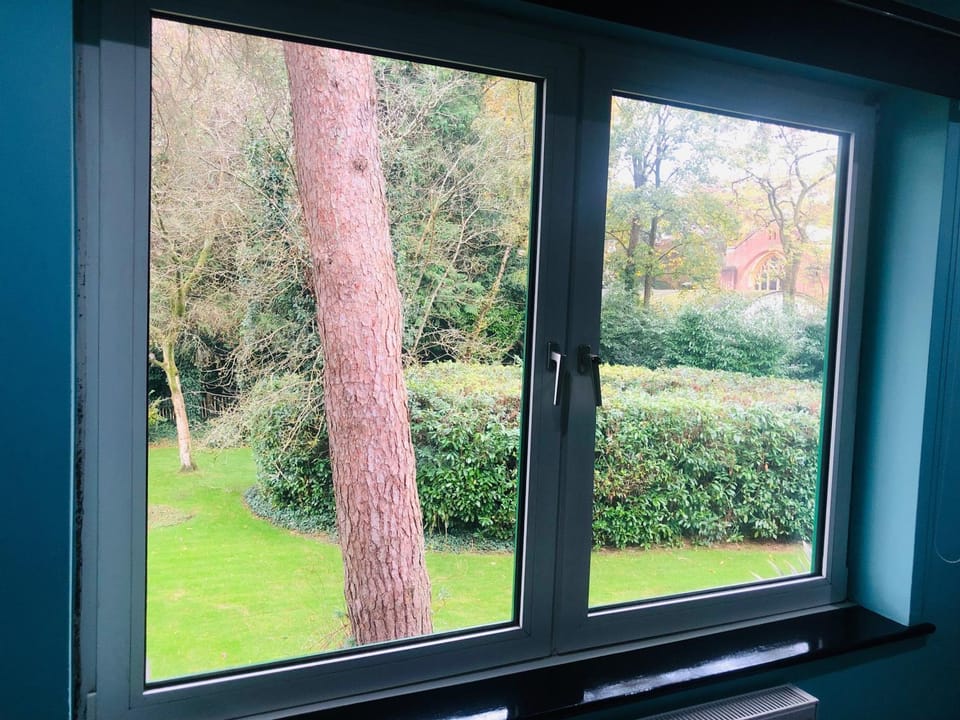 Garden view