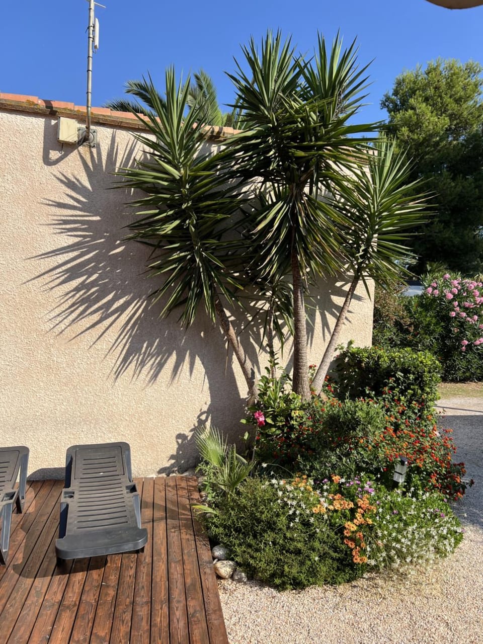 Garden view
