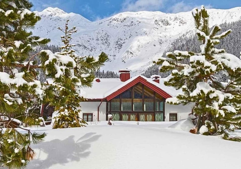 Property building, Natural landscape, Winter, Garden, Garden view, Mountain view