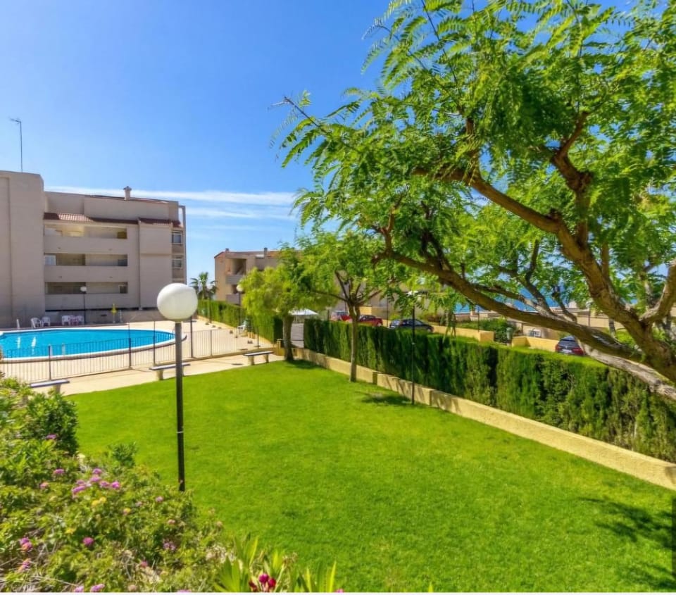 Garden, Swimming pool