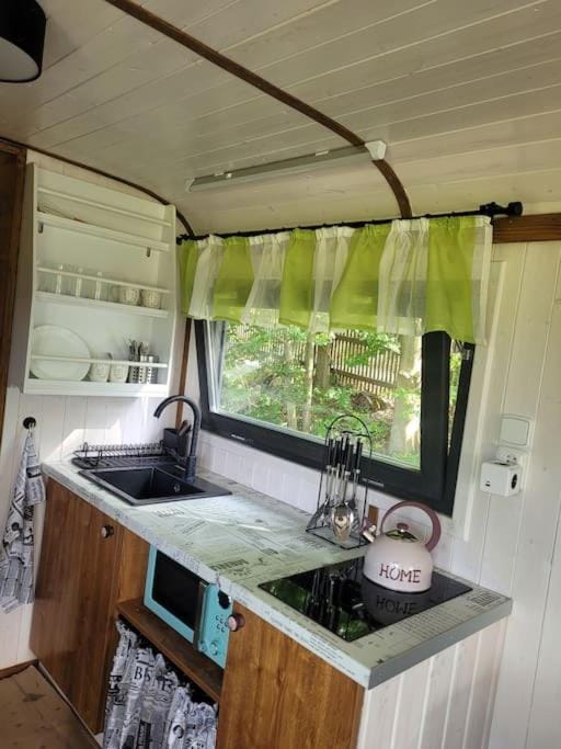 Kitchen or kitchenette, microwave, stove