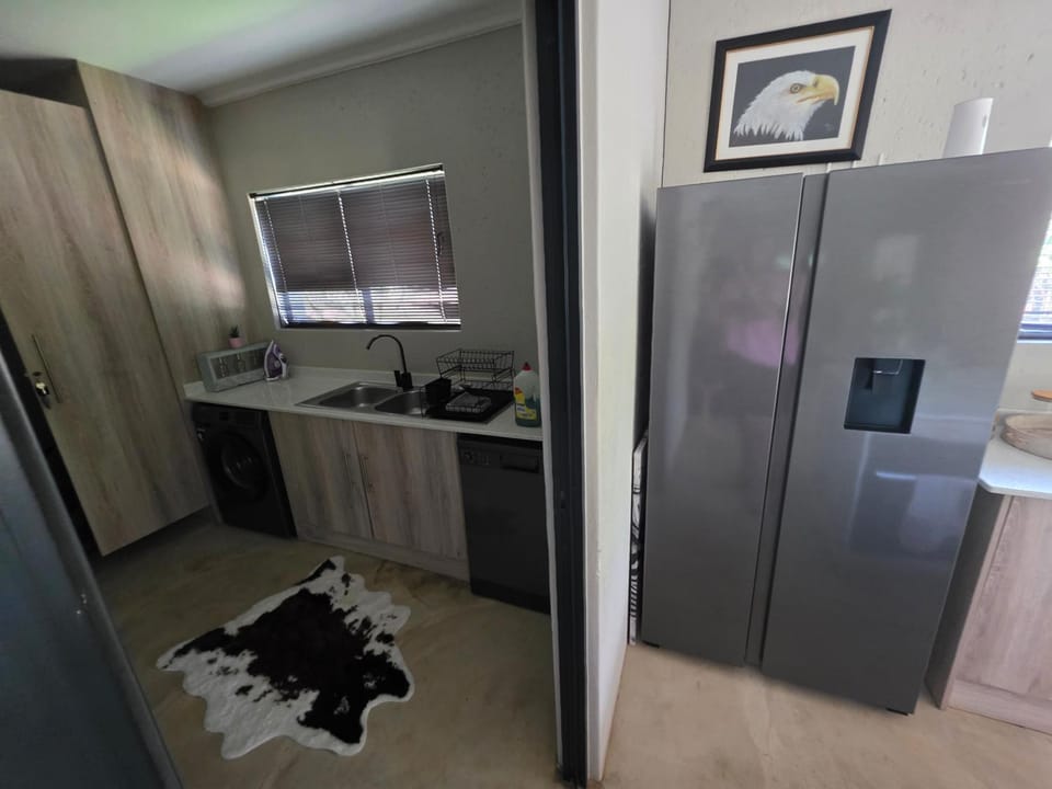 dishwasher, laundry, washing machine, kitchen