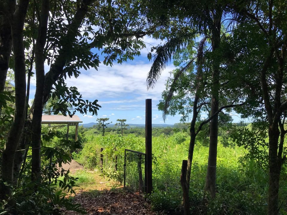 Natural landscape