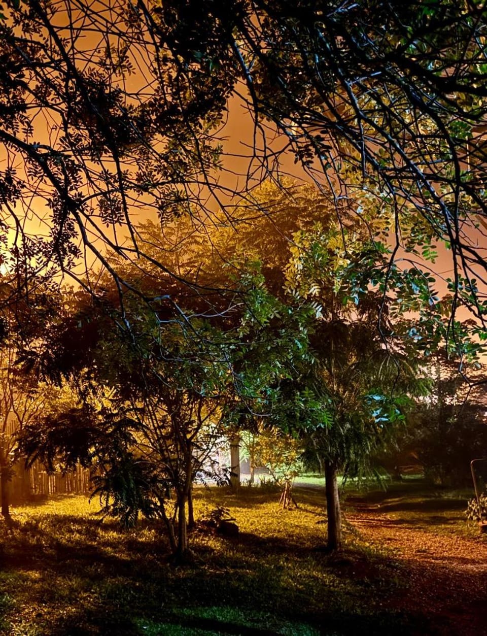 Tacuarita House in Misiones Province, Argentina