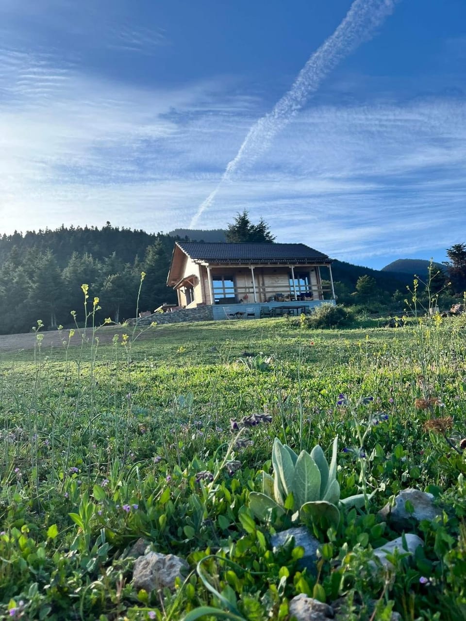 Property building, Natural landscape, Garden, Garden view