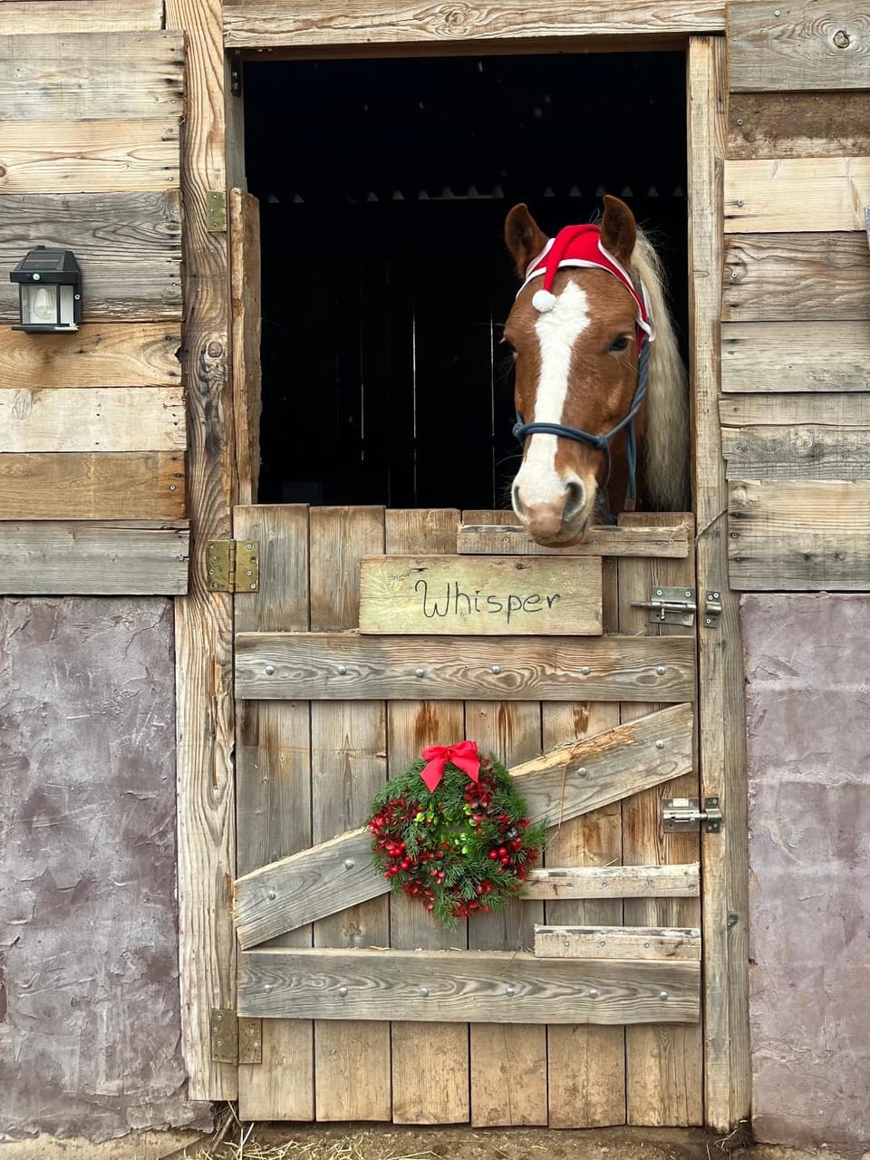 Horse-riding, Animals