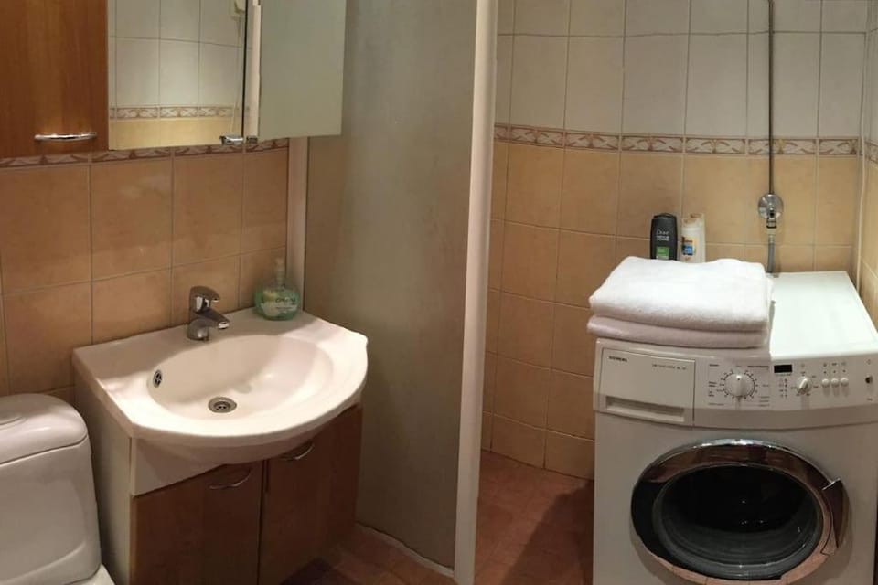 Toilet, Bathroom, washing machine