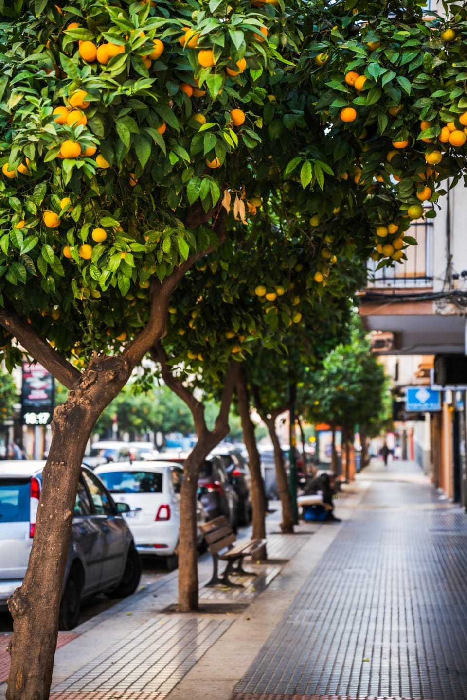 Day, Neighbourhood, City view, Street view, Location